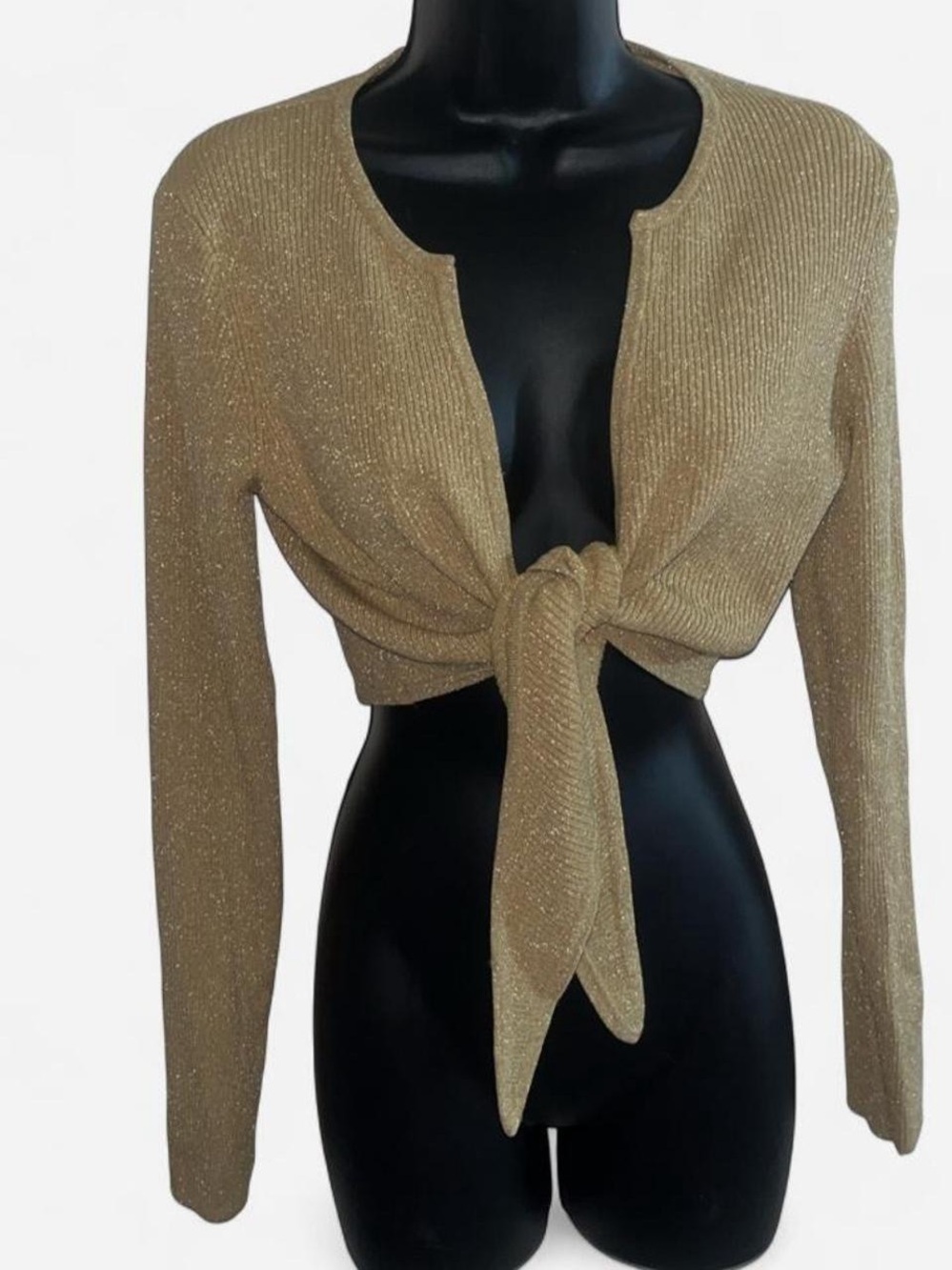 Metallic Gold Tie-Front Crop Top
